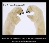 demos_039.webp