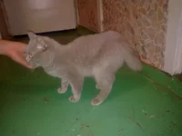 24112010190.webp
