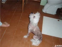 989f796e02a0.webp