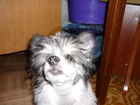 P1030340.webp