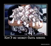 1277669529_z-57.webp