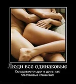 1279136635_15816.webp