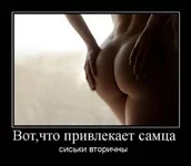 1279641337_s33048116.webp