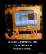 1279641346_s63154156.webp