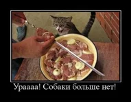 1283798732_demotiwc.webp
