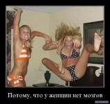 1283798942_12742747.webp