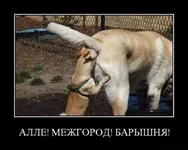 1288945568_demotivatory_v_pjatnicu_165_foto_165.webp