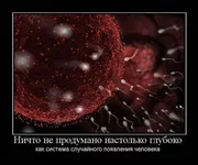 1288945575_demotivatory_v_pjatnicu_165_foto_141.webp