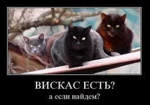 1290340190_demos_025.webp