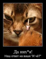 1290340221_demos_013.webp