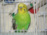 PB240273.webp