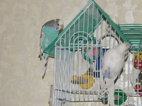 PB260302.webp