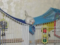 PB260305.webp