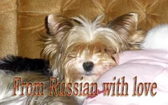 PB230075.webp