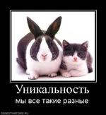 399751_unikalnost.webp