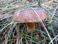 _DSC07518.webp
