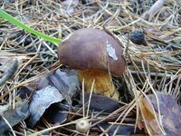 _DSC07515.jpg