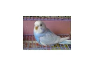 .webp