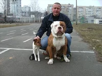 0_2ba9e_78b7c08d_L.webp