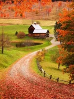CVh1JLZlkBo.webp