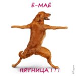 359043237.gif