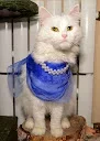 DSC_0180.webp