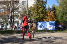 KVzBztNrzeA.jpg