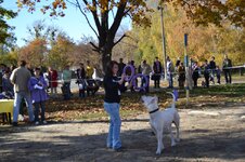 u-qSo9qA_n4.jpg