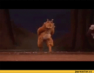 %D1%86%D1%8B-%D0%91%D0%B0%D0%BB%D0%B5%D1%82-123121.gif