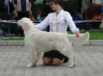  074.webp