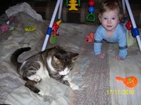 100_4103.webp