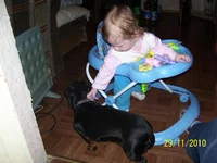 100_4135.webp