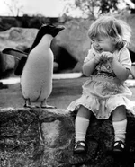 21901868_yyt.webp