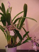 IMG_4134.webp
