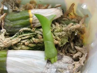 IMG_7324.jpg