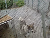 DSC02647.webp DSC02647.webp