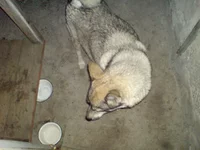 DSC02781.webp DSC02781.webp