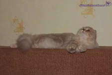 _MG_1311_новый размер.webp