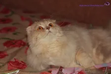 _MG_1326_новый размер.webp