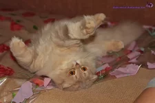 _MG_1327_новый размер.webp