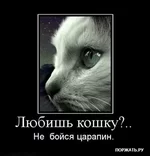 1263263814_16.webp