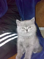 18112009006.webp