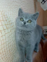 24122009063.webp