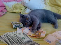 27022010130.webp