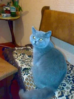 27022010136.webp
