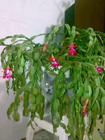 30042010144.webp