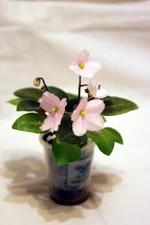 -Кроткая монашка.webp