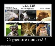 813655_studenote-ponyat.webp