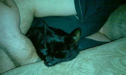 IMAG0390.webp