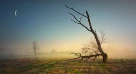 cdD4PfLRcow.webp